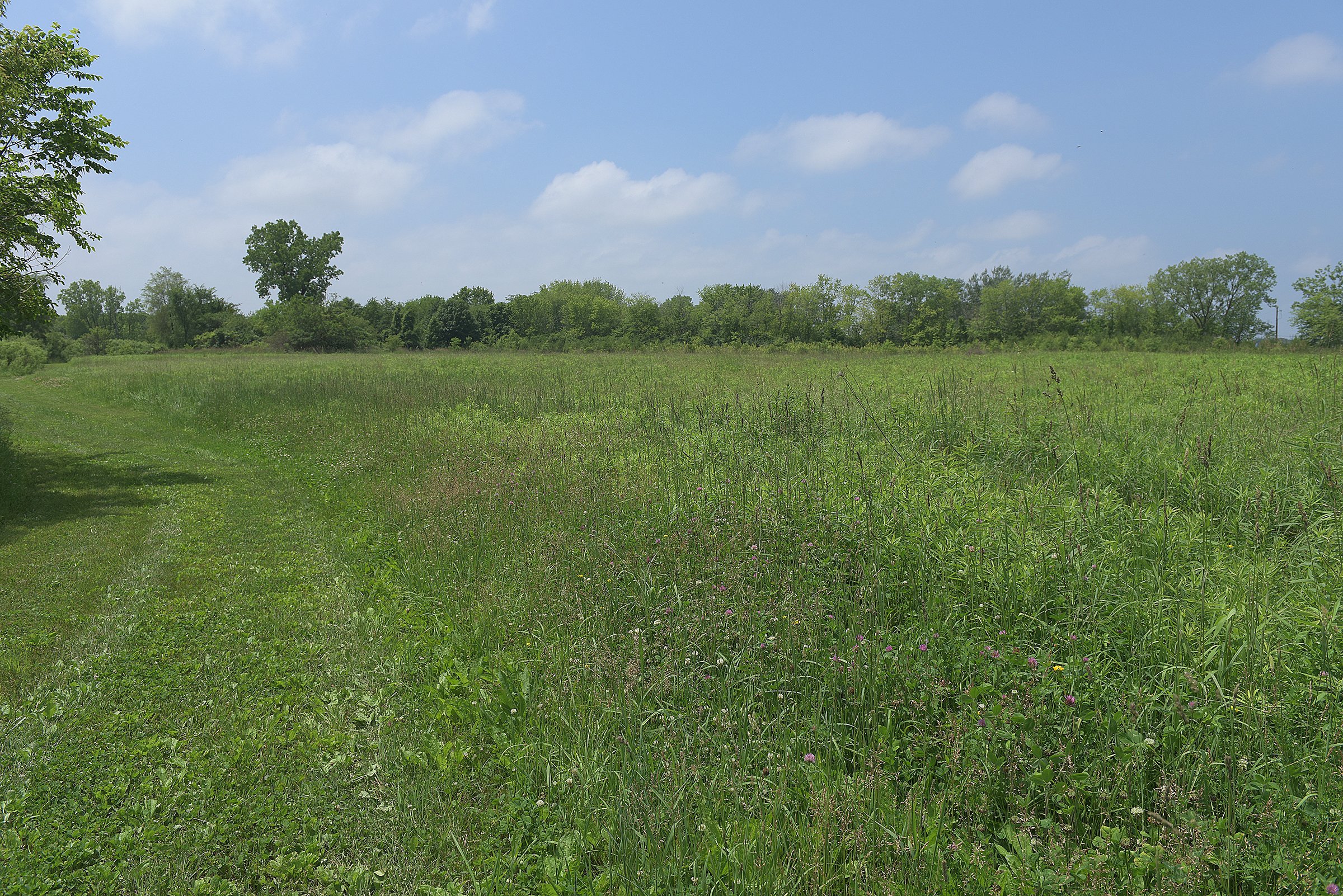 Lake County, Indiana farmland - LAND AUCTION - 147+/- ACRES OFFERED IN 3 TRACTS IN LAKE COUNTY, INDIANA
